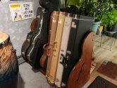 Guitar Case Rack next to a bongo and plants